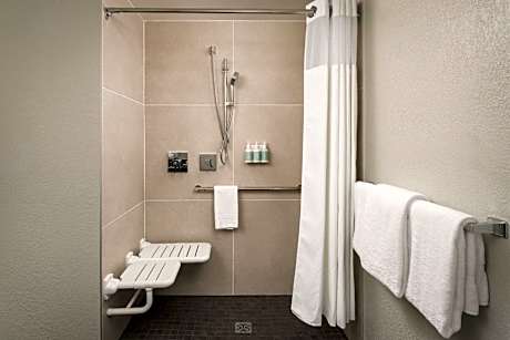 Room, 1 King Bed with Sofa bed (Mobility/Hearing Access, Roll-In Shwr)