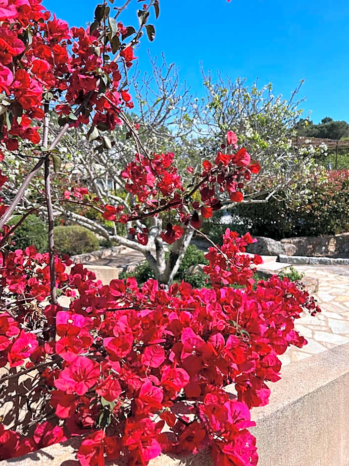Hôtel les jardins de Sta Giulia avec piscine