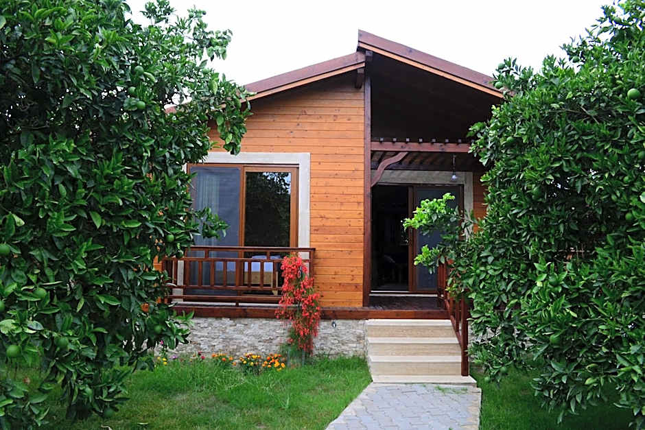 Zdjęcie 1 z 39 — Villa Bilge