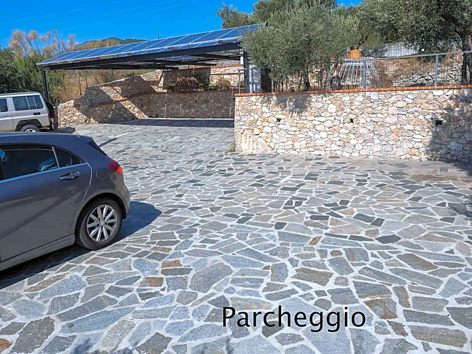 Tra Gli Ulivi
