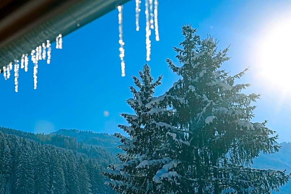 Hotel - Restaurant Gosauerhof