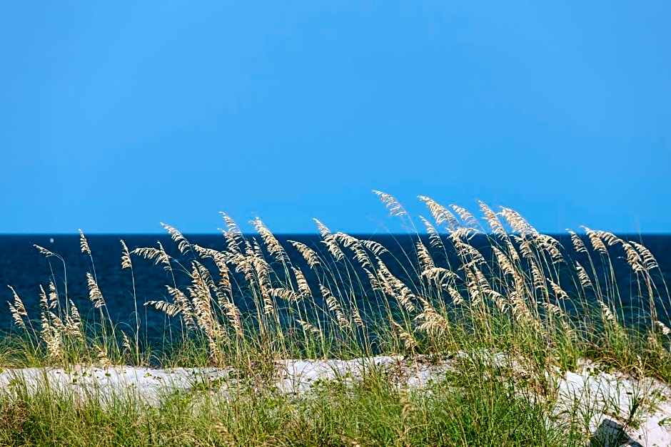 Hampton Inn & Suites by Hilton Carolina Beach Oceanfront