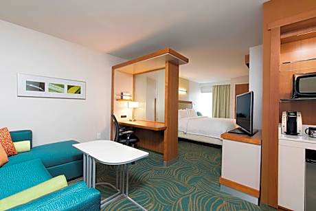 Suite, 1 King Bed with Sofa bed (Mobility/Hearing Access, Roll-In Shwr)