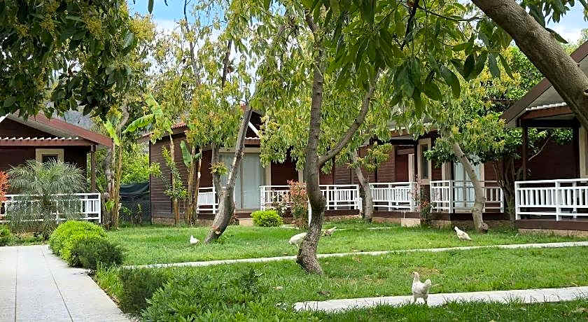 APELLA HOTEL