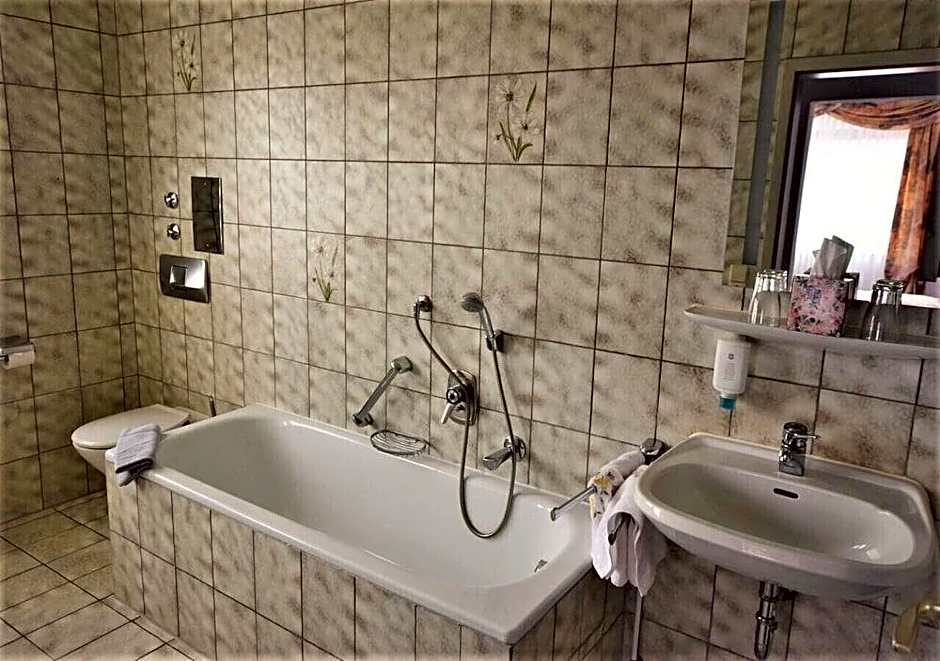Hotel Alena