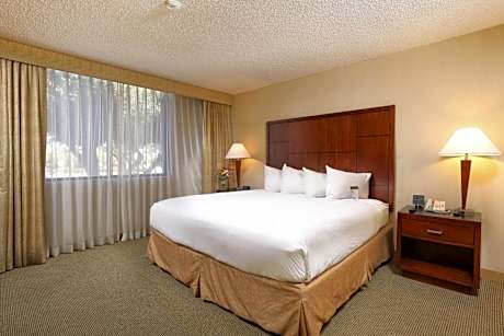 One-Bedroom King Suite with Sofa Bed - Non-Smoking