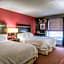 Hampton Inn By Hilton And Suites Detroit/Airport-Romulus