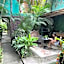 Akoma Sayulita