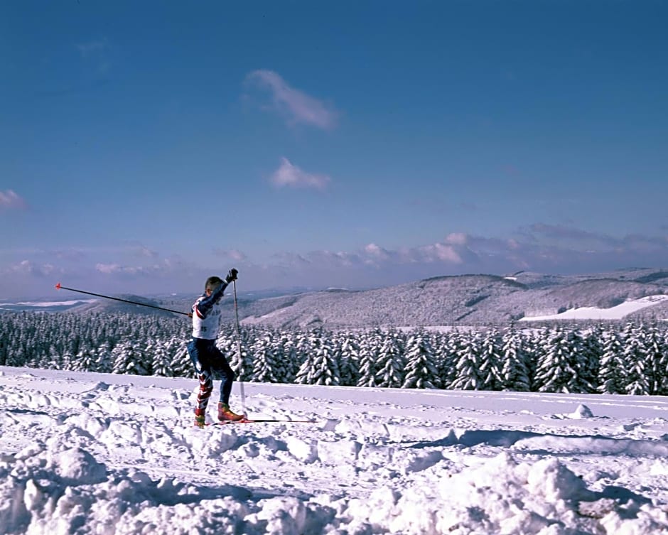 Aussichtsbauernhofpension Hof Gretchens