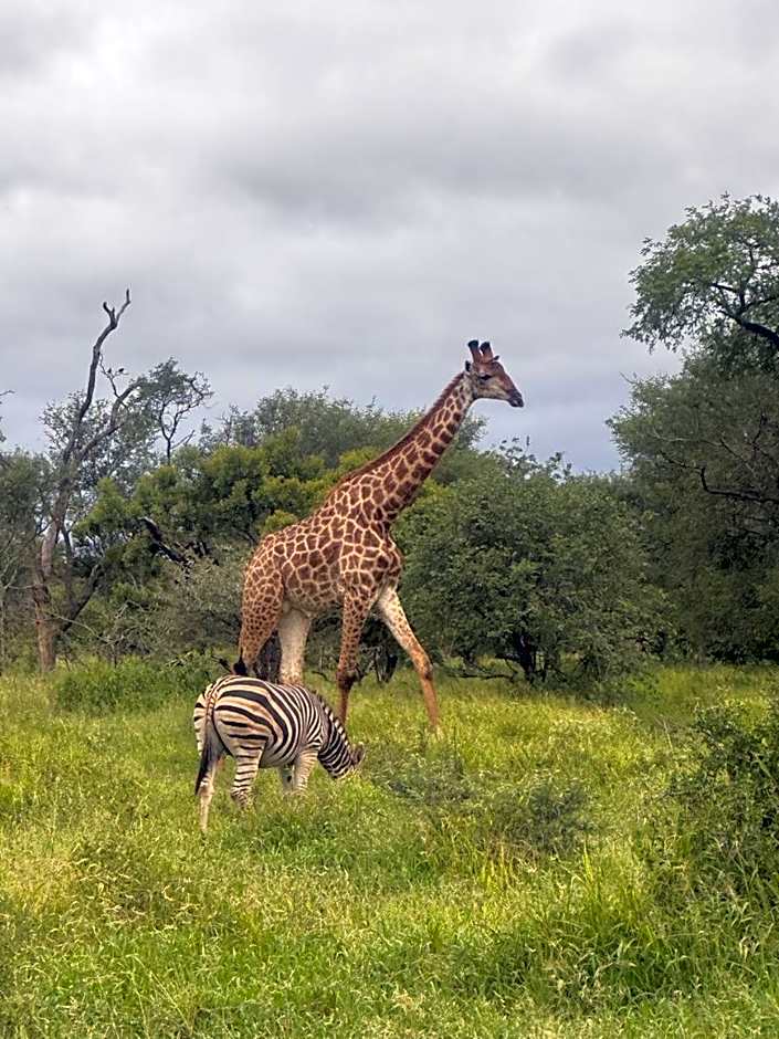 Lindiwe Safari Lodge