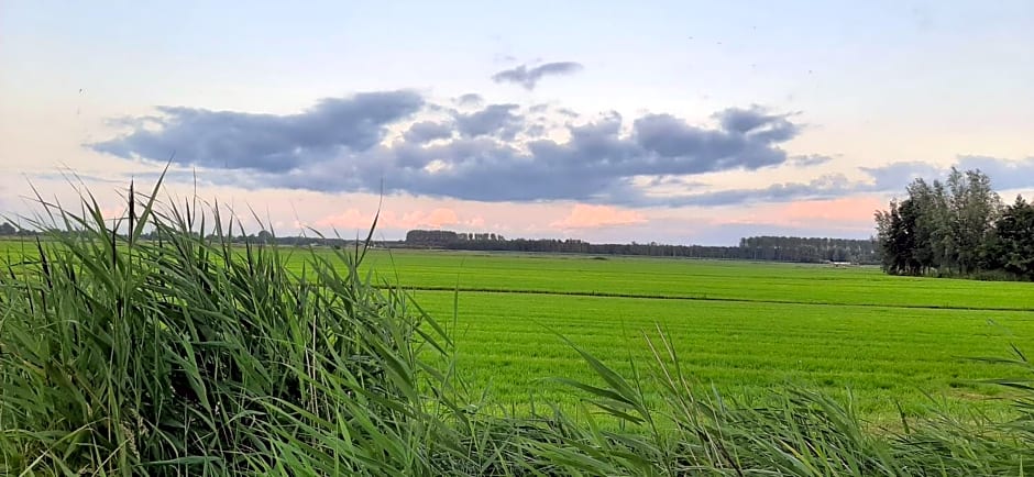 Het Bijenweitje - The Little Bee Meadow