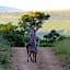 The Ranch House at African Safari Lodge