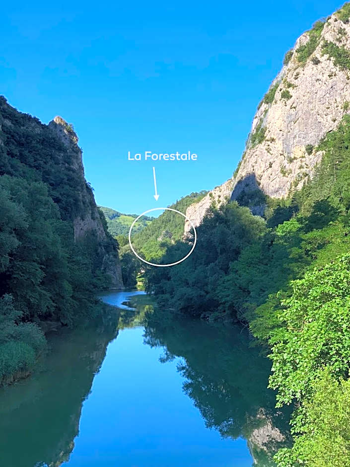 La Forestale Luxury Ecolodge B&B Primo Piano