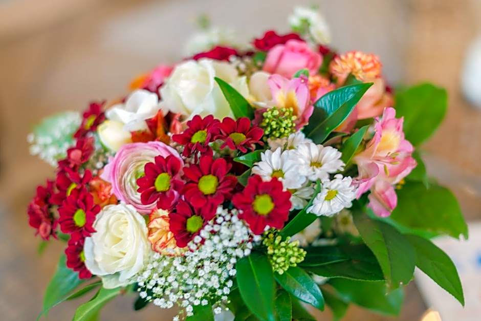 Apparthotel Sankt Georg