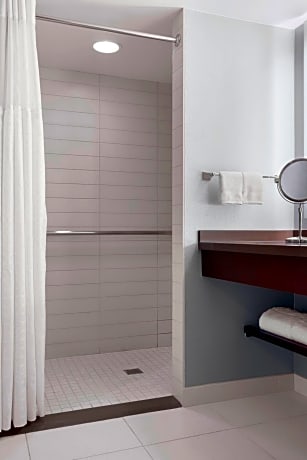 Room, 1 King Bed, Accessible, Non Smoking (Mobility w/ Roll-in Shower)