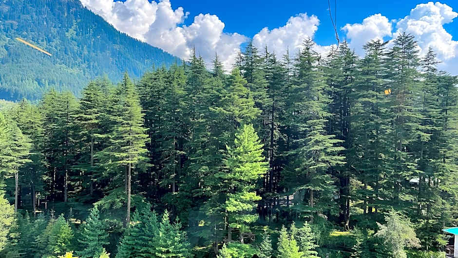 Olive County, Manali 