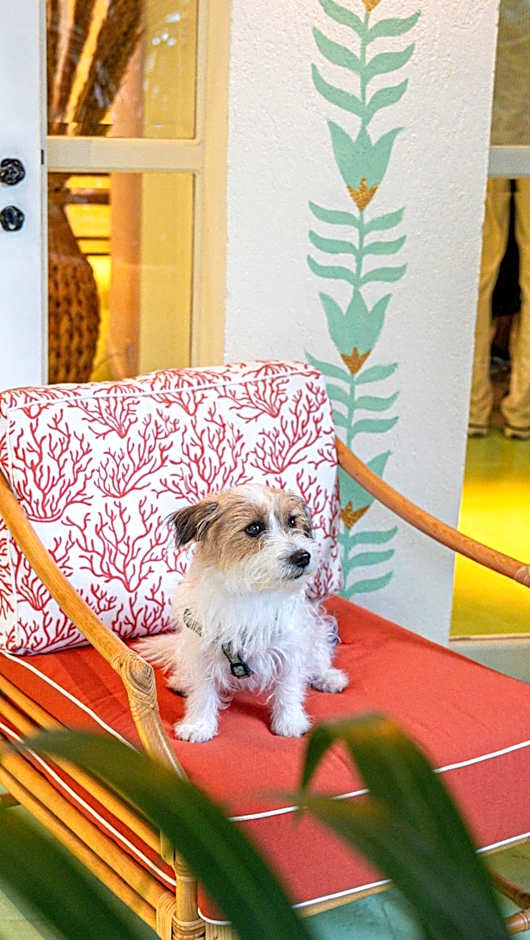 Hôtel La Tartane Saint-Tropez