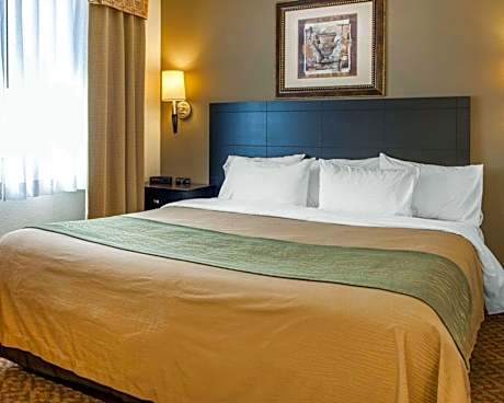 1 King Bed, Nonsmoking