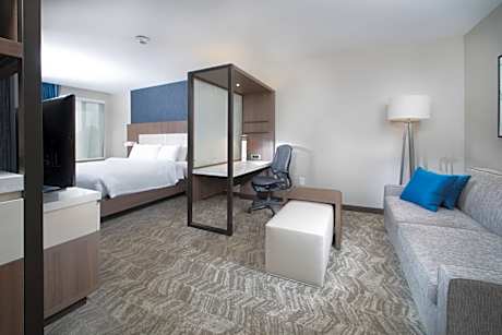 King Suite with Sofa Bed