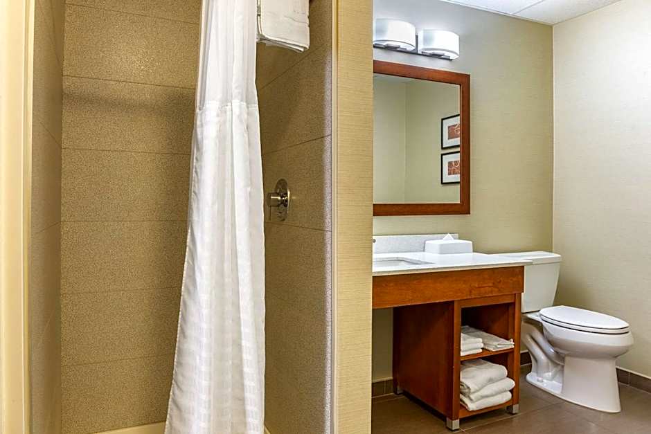 Comfort Suites Dover University Area