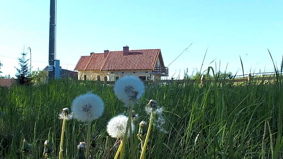 Domki na Mazurach Kurka Wodna