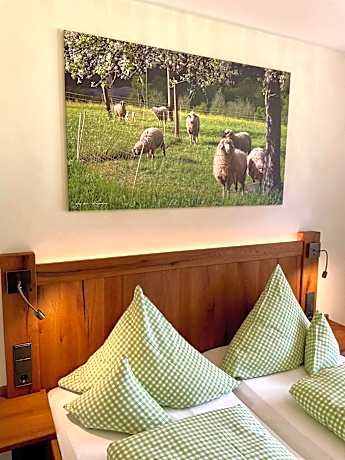 Double Room in Guest House