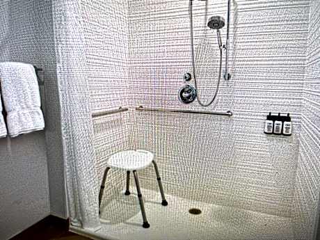 King Room with Roll-In Shower - Disability Access