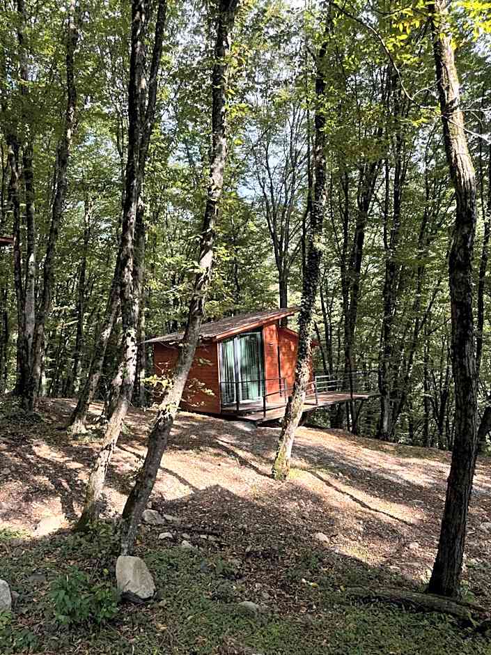 Eco Village In The Forest