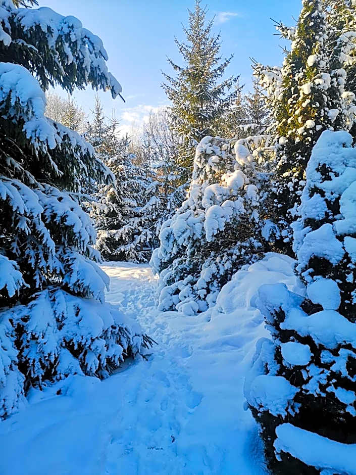 Domek na Skraju Wsi dostęp do jeziora UBLIK