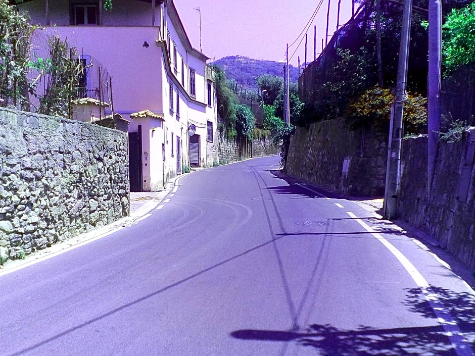 Sorrento Garden – Sorrento, CO