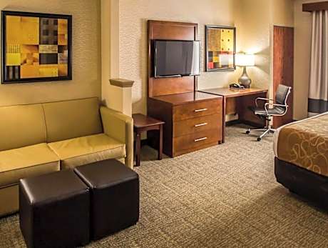 1 King Bed, Efficiency, Suite, Nonsmoking