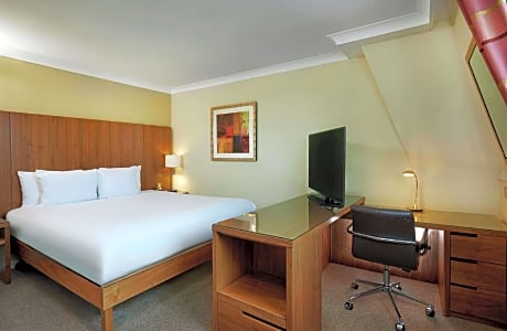King Deluxe Room Plus