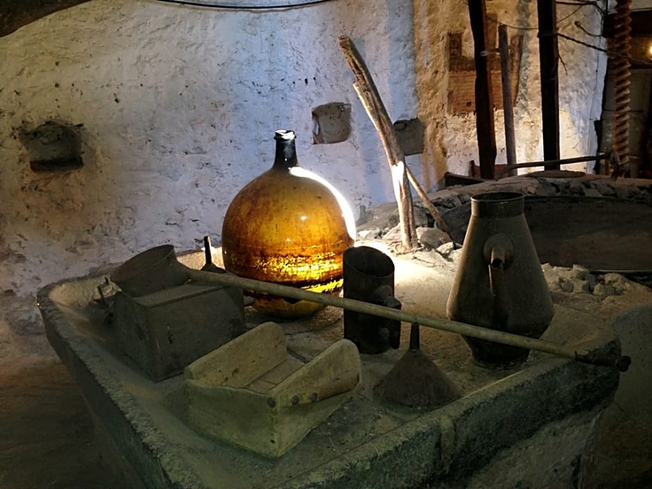 Finca Hotel Son Pont