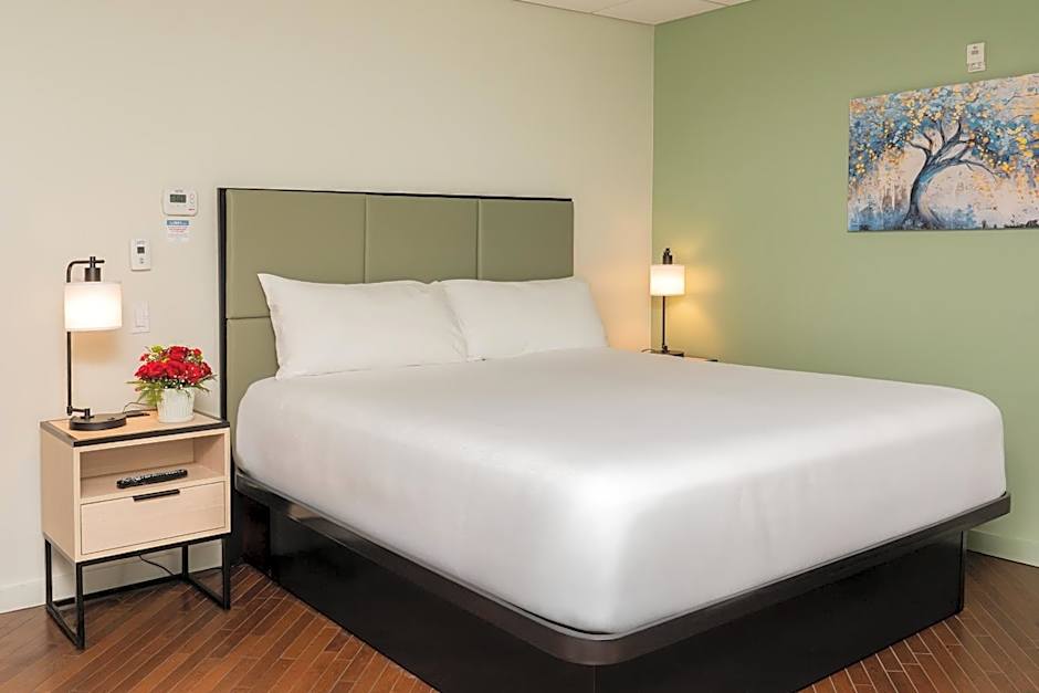 Photo 1 of 8 of Executive 1 King Bed with Sofabed