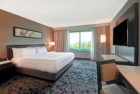 Two-Room King Suite - Non-Smoking