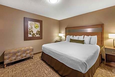 King Room - Disability Access/Non-Smoking