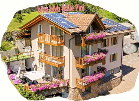 Bike Bed&Breakfast Mille Pini