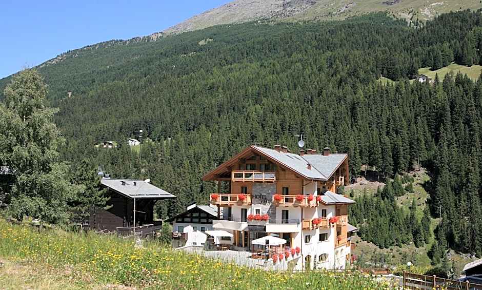 Hotel Vedig