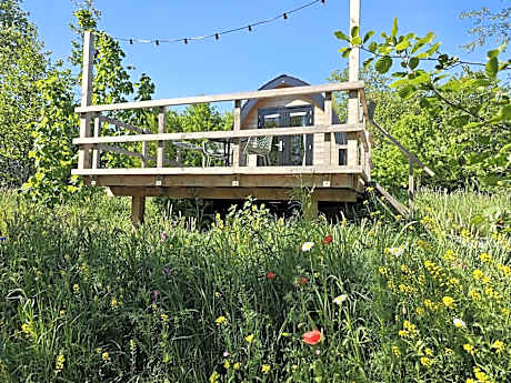 Tiny House De Skierroek