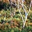 Tanonga Luxury Eco Lodges