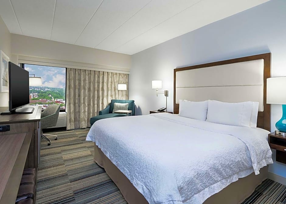 Hampton Inn By Hilton Pittsburgh-University Center