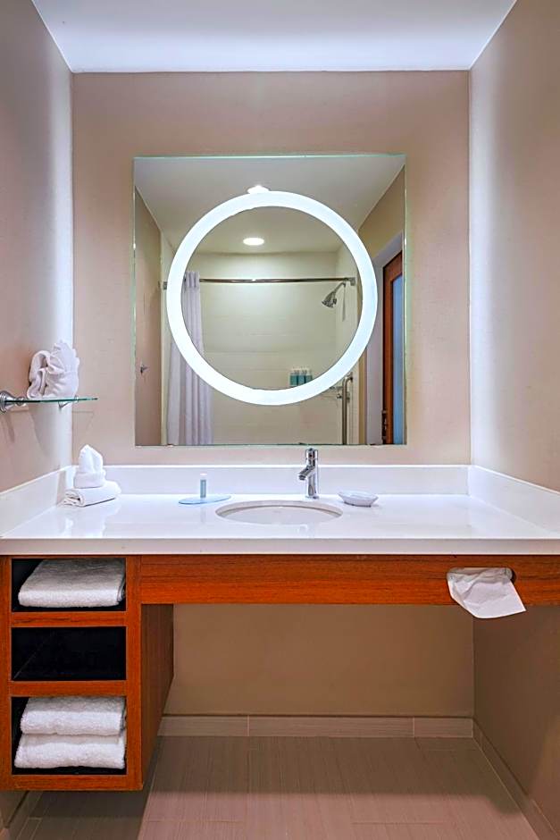 SpringHill Suites by Marriott Dallas Richardson/Plano