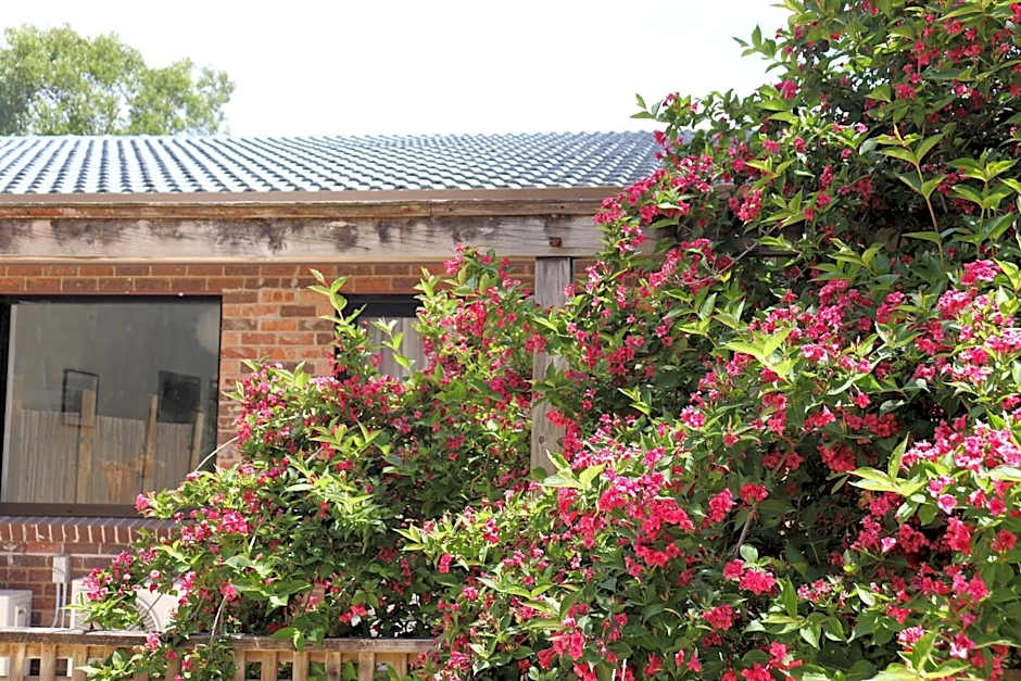 Sinofield Edu-Retreat