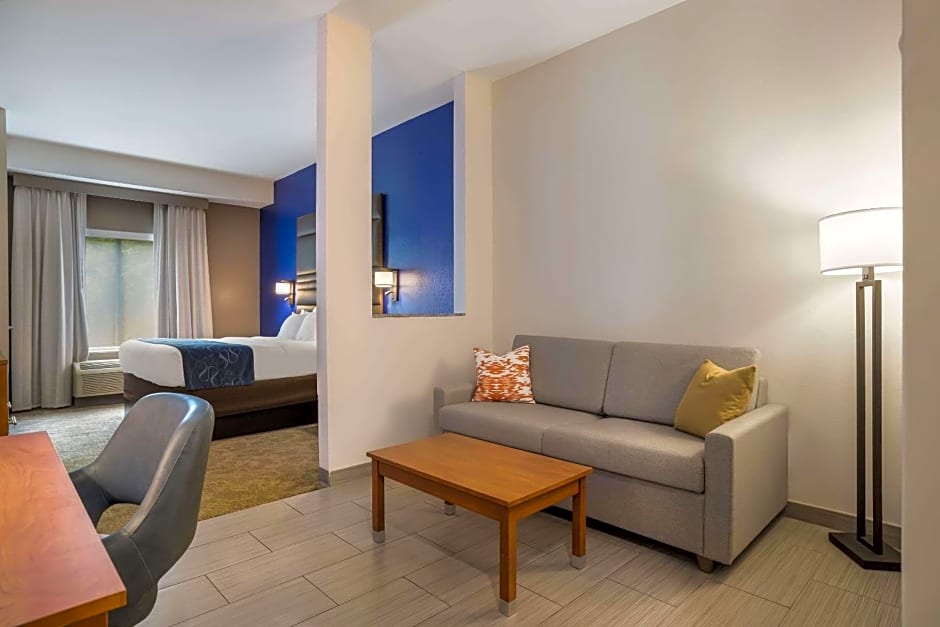 Comfort Suites Denham Springs
