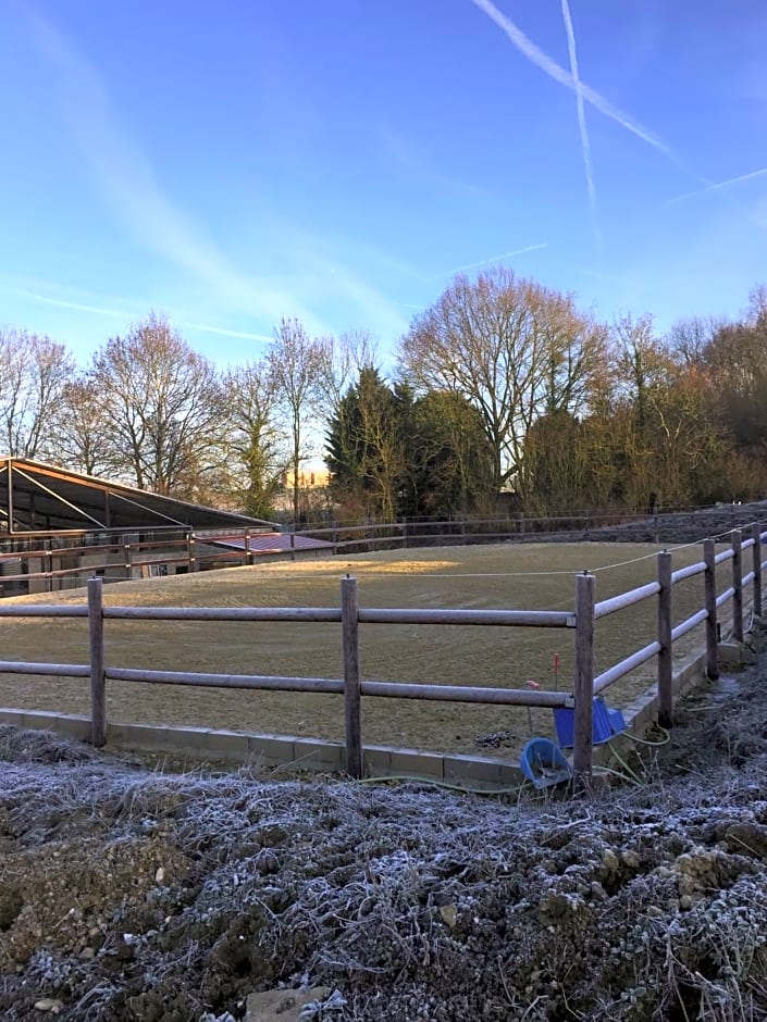 Maison écologique en pleine nature