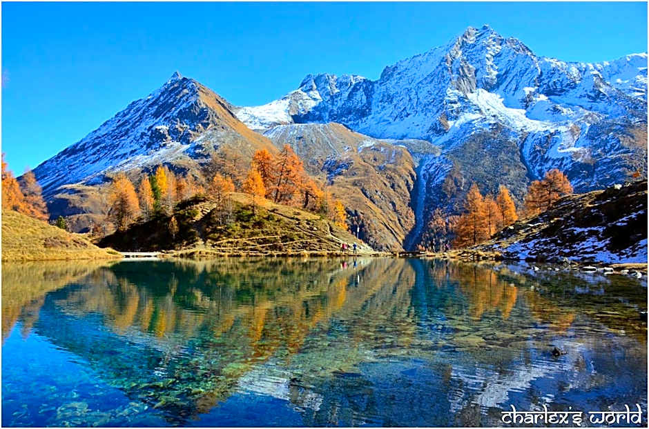 Hôtel Pension du Lac Bleu