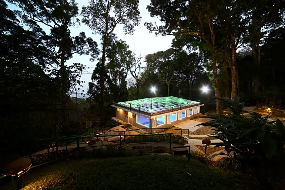 The Tall Trees Munnar