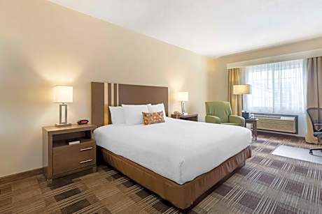 1 King Bed Non-Smoking Microwave Fridge Wi-Fi Full Breakfast