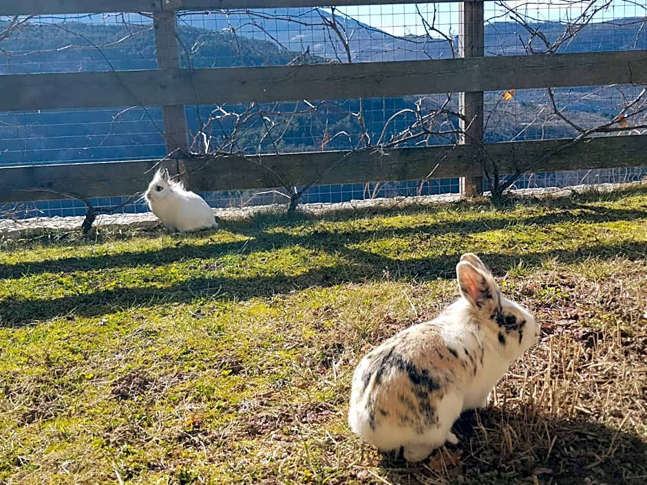 Appartamenti Camere Masi Brenta