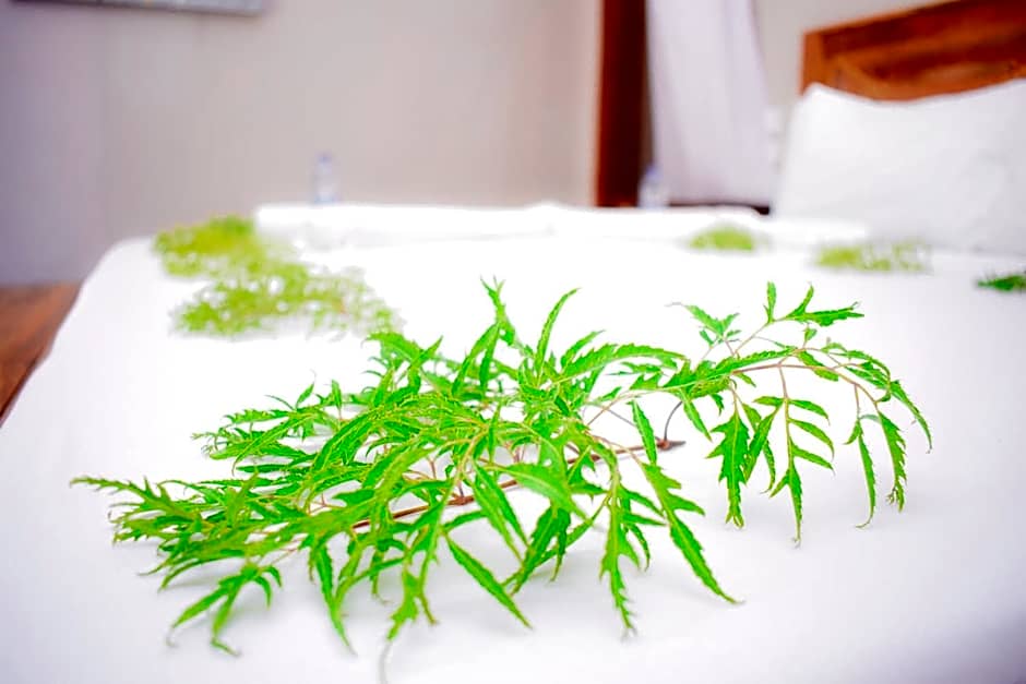 Kikoi Boutique Hotel